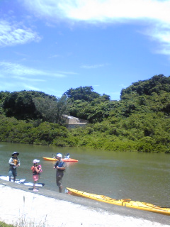 f0154002_72276.jpg