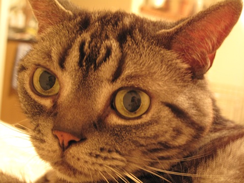a0079803_22341439.jpg