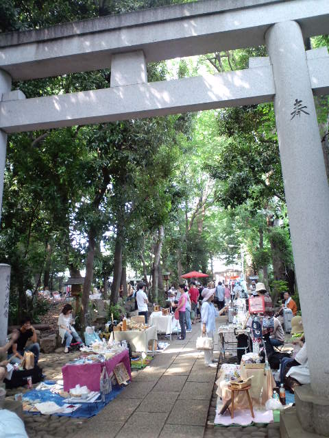 a0088007_1527045.jpg