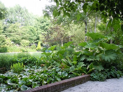 c0117007_21494872.jpg