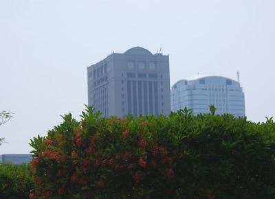 d0147812_1445323.jpg