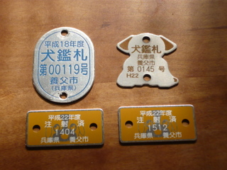 a0090313_1143544.jpg
