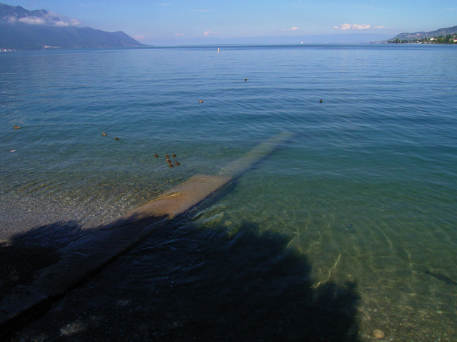 a0030714_7453476.jpg