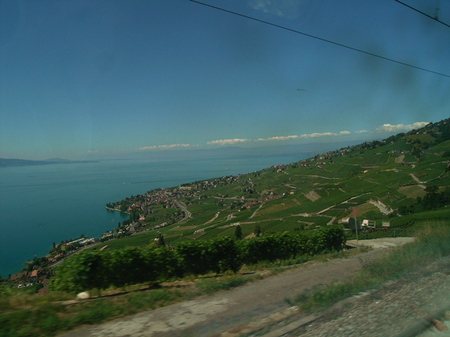 a0030714_746276.jpg