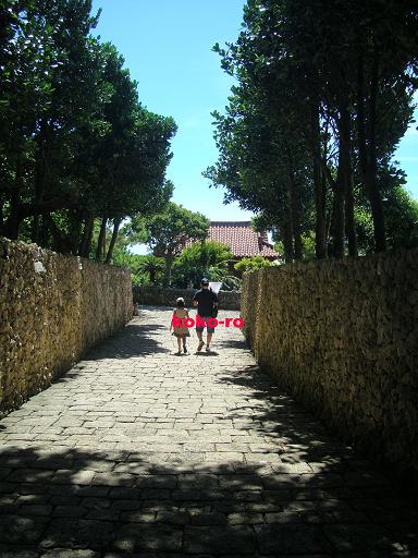 c0160014_9125045.jpg
