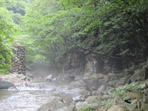 d0083316_14284479.jpg