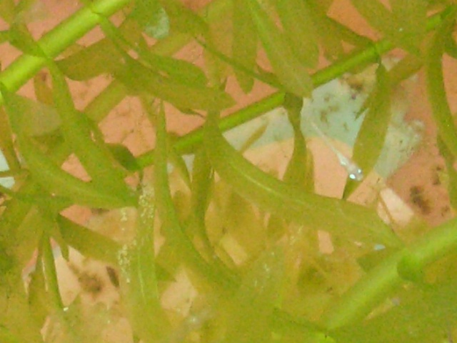 d0169618_1844228.jpg