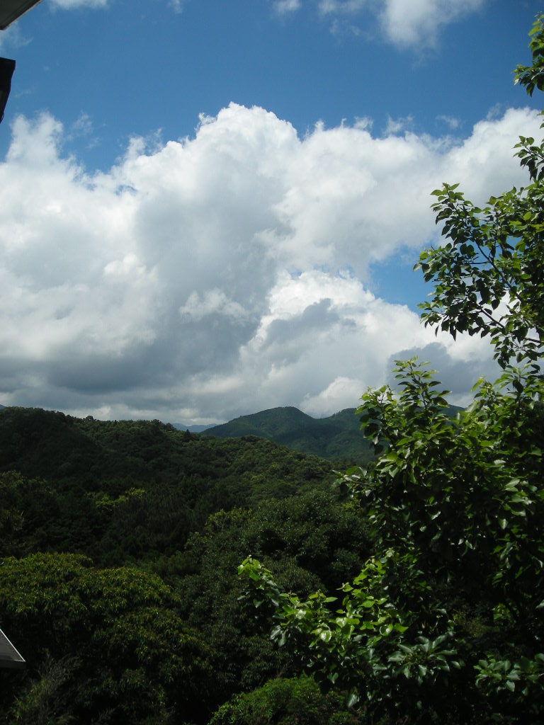 c0149622_22383650.jpg
