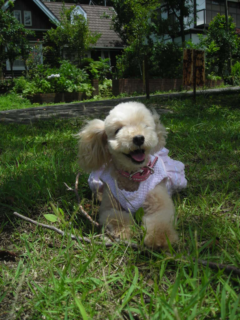c0149622_2253359.jpg