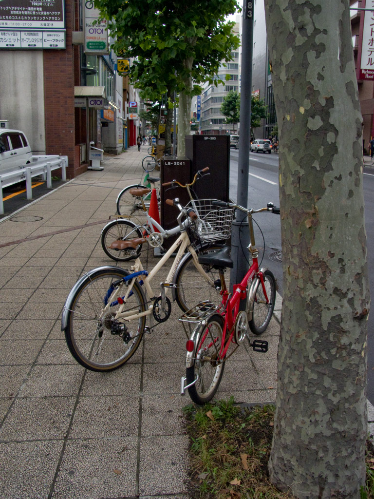 b0085526_1847247.jpg