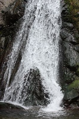e0181928_21293310.jpg