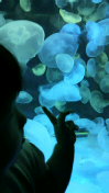 f0190328_23475795.jpg