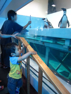f0224732_14213824.jpg