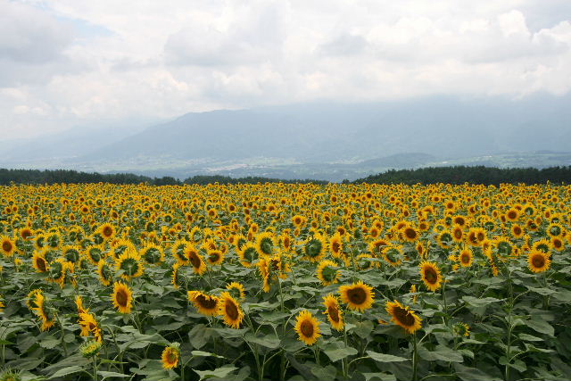 e0064133_22522927.jpg