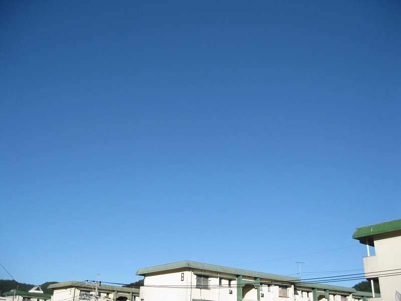 e0062635_1024839.jpg