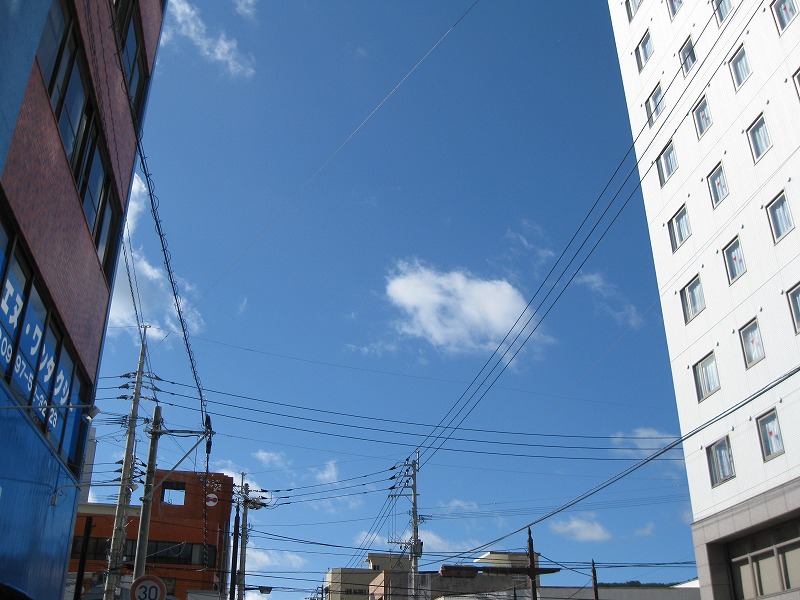 e0062635_102533.jpg