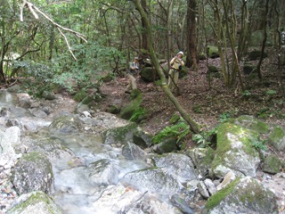 c0077338_21525113.jpg