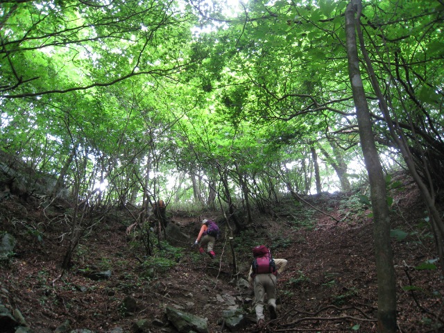 c0077338_2158486.jpg