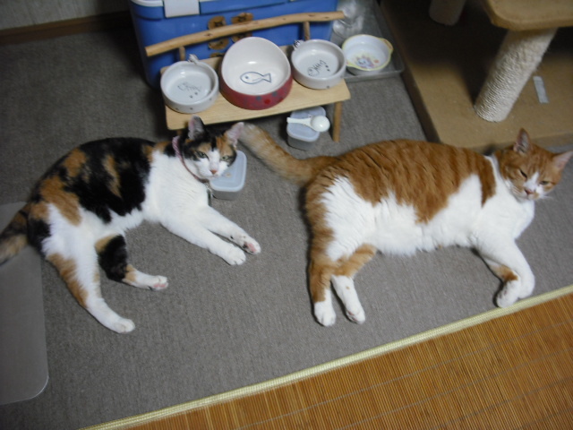 c0194042_15281775.jpg