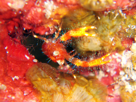 f0014842_17332256.jpg