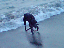 f0095047_2331036.jpg