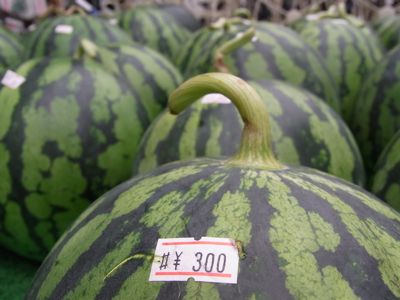 c0063348_801386.jpg