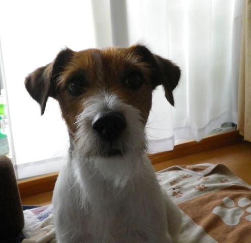 f0077150_215535.jpg