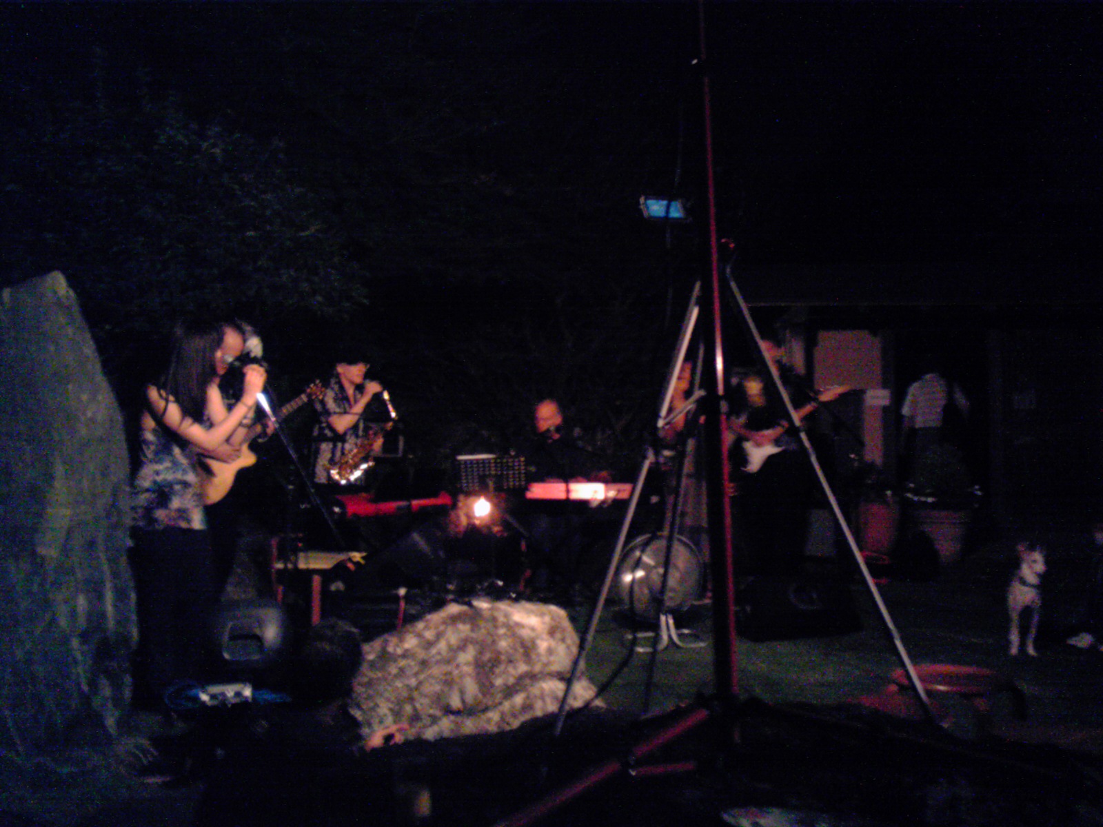 f0147556_2041447.jpg