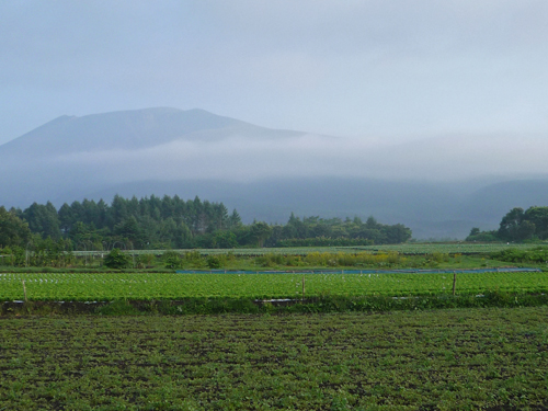 b0045357_13561125.jpg