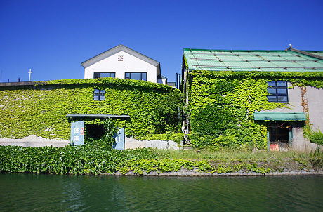 f0229759_1049960.jpg