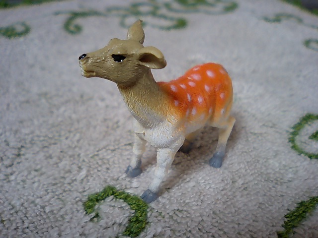 d0076760_14501372.jpg