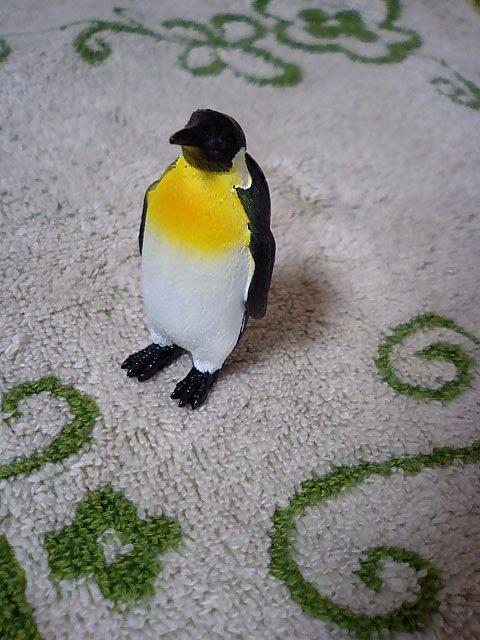 d0076760_14514825.jpg