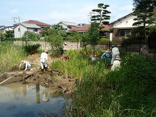f0062462_21453117.jpg
