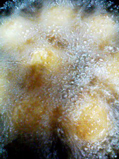 b0175871_2311788.jpg