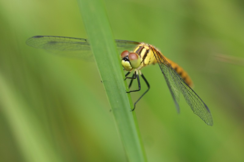b0088772_14522668.jpg