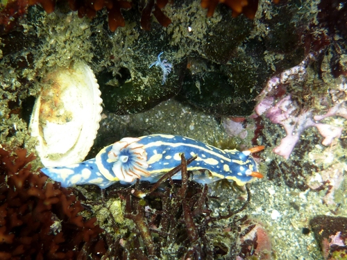 c0181073_23235444.jpg