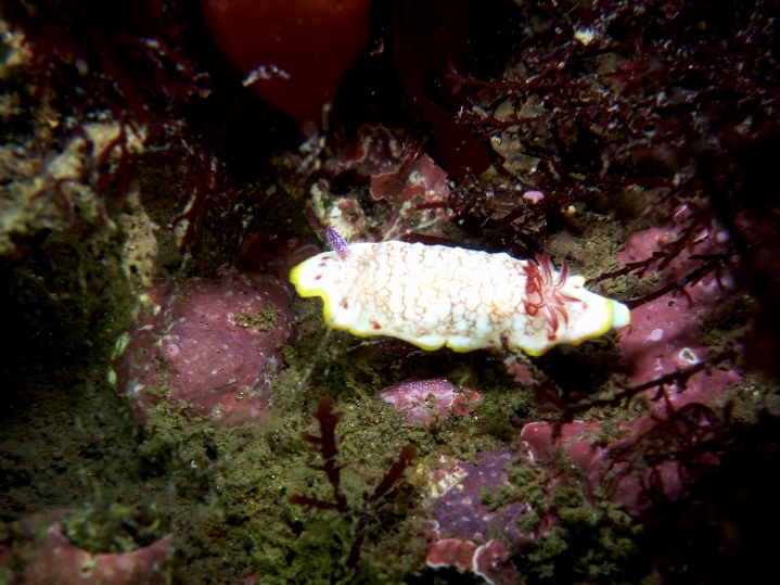 c0181073_23282420.jpg