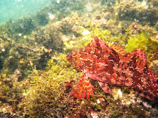 c0181073_23304040.jpg