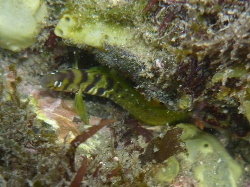 c0181073_23353358.jpg