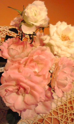 f0140174_2234093.jpg