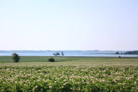 a0100975_12181764.jpg