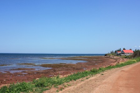 a0100975_122533100.jpg
