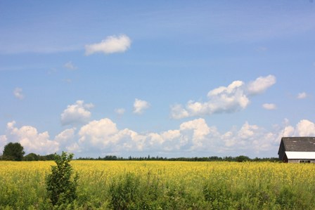 a0100975_1249246.jpg