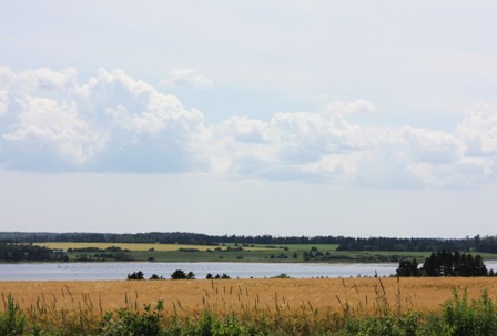 a0100975_1333910.jpg