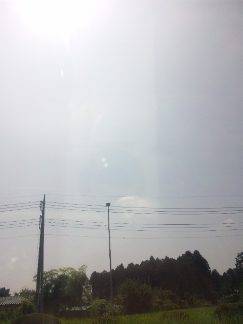 f0057078_10353145.jpg