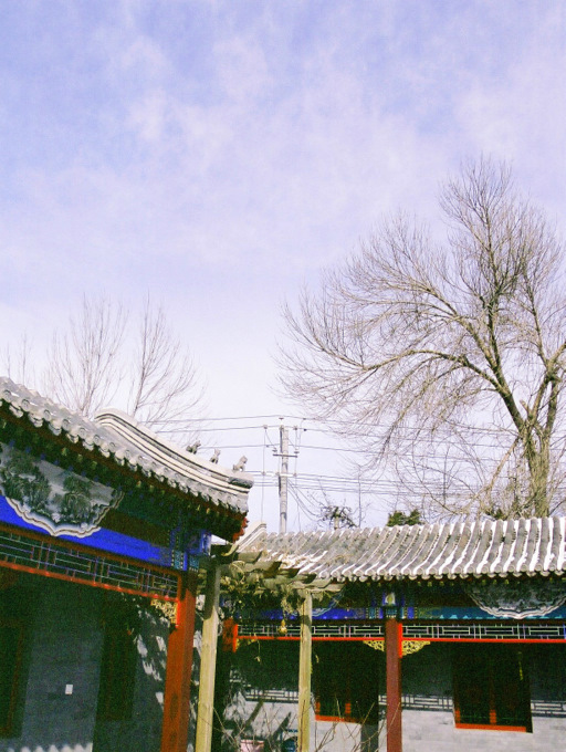 b0178479_1792312.jpg