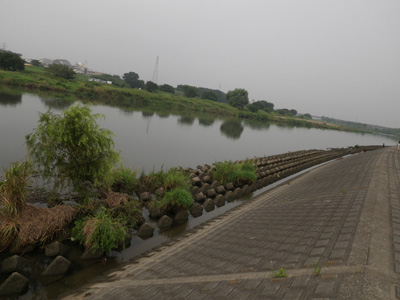 c0091679_7401626.jpg