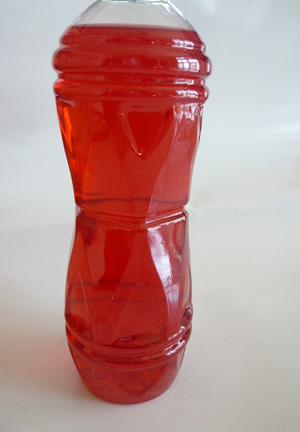 c0175679_1333238.jpg
