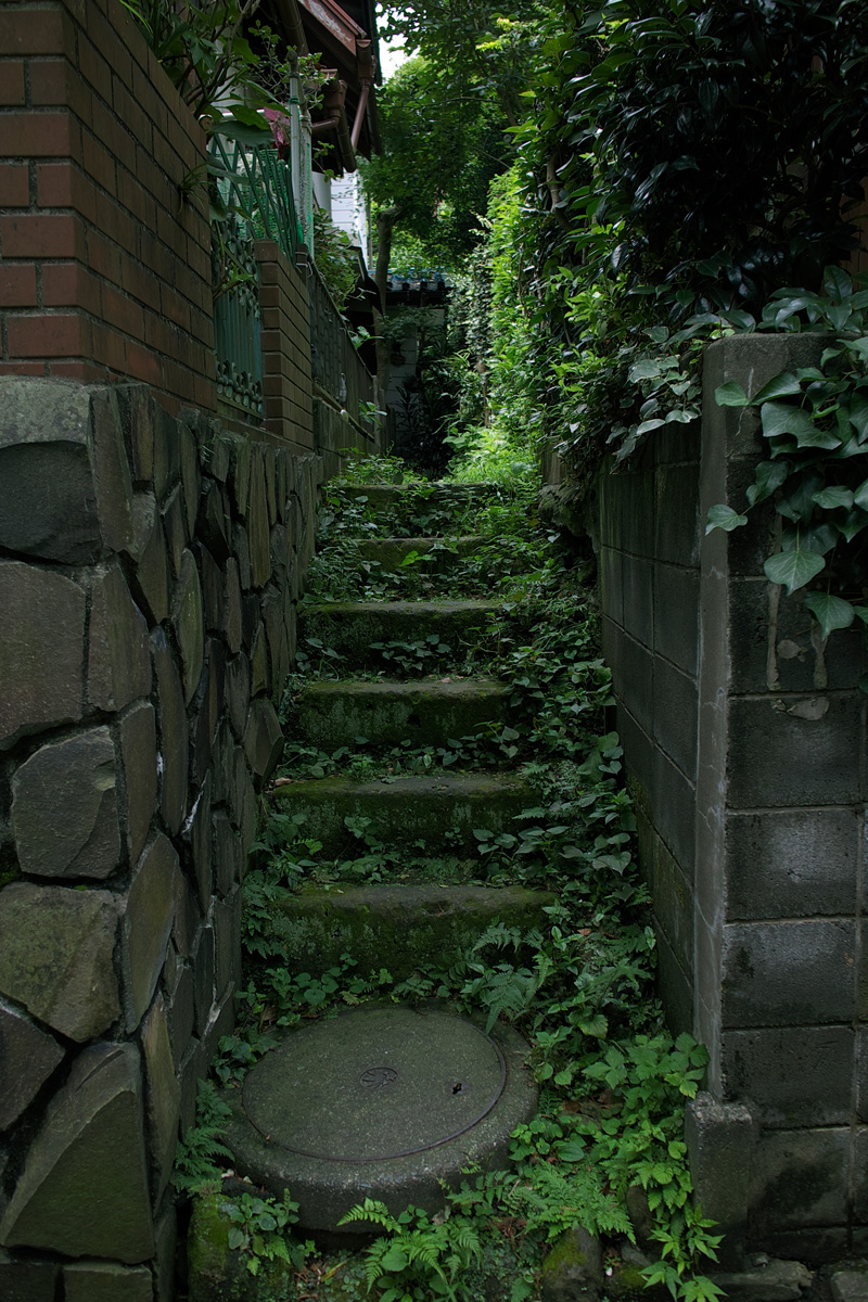f0121181_1912493.jpg