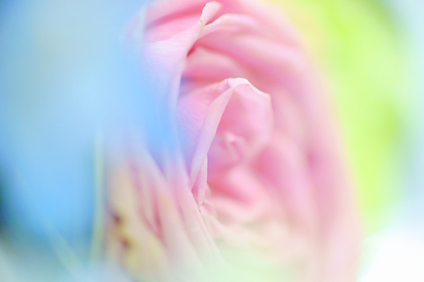 c0203584_2305379.jpg